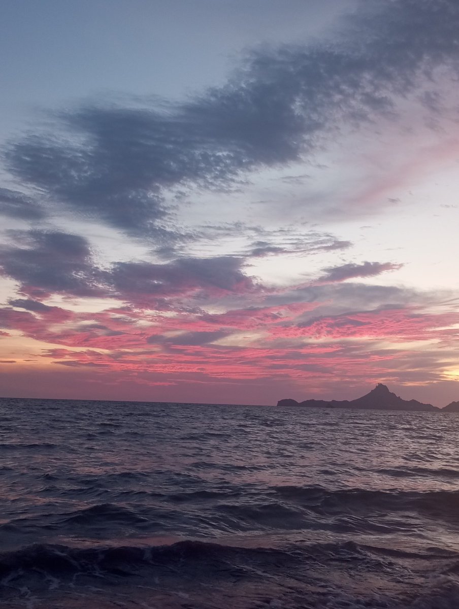 robynzl's tweet photo. @seregalandudas Guaymas, Sonora 🩷 https://t.co/JId6pYJ5ru