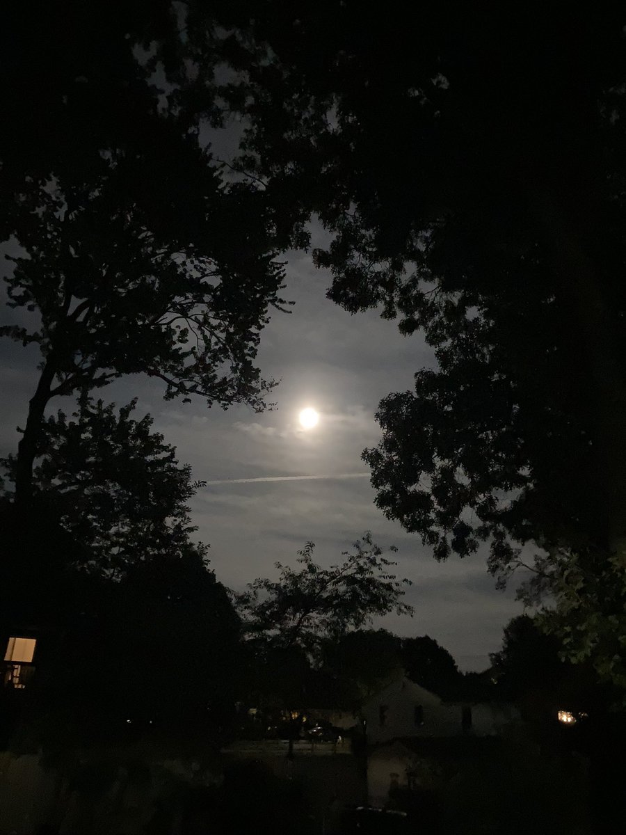 SueMo428dog's tweet photo. Rare Blue Super Moon Selfie with 2nd child!!! #Blue_Moon #SuperBlueMoon #TheMaggs #SunnyHolbrook https://t.co/lo6WZruOZy