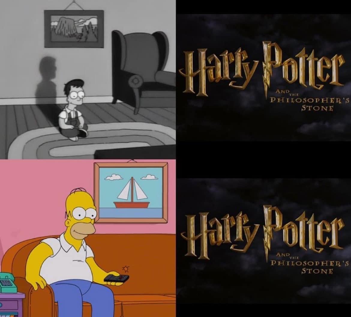 Me as a child with the Harry Potter series vs me now as an adult watching it. ⚯⚡️👀❤️💙💛💚🚂🔮🗡️🧹🦁
#HarryPotter #meme #HarryPotterIsLife