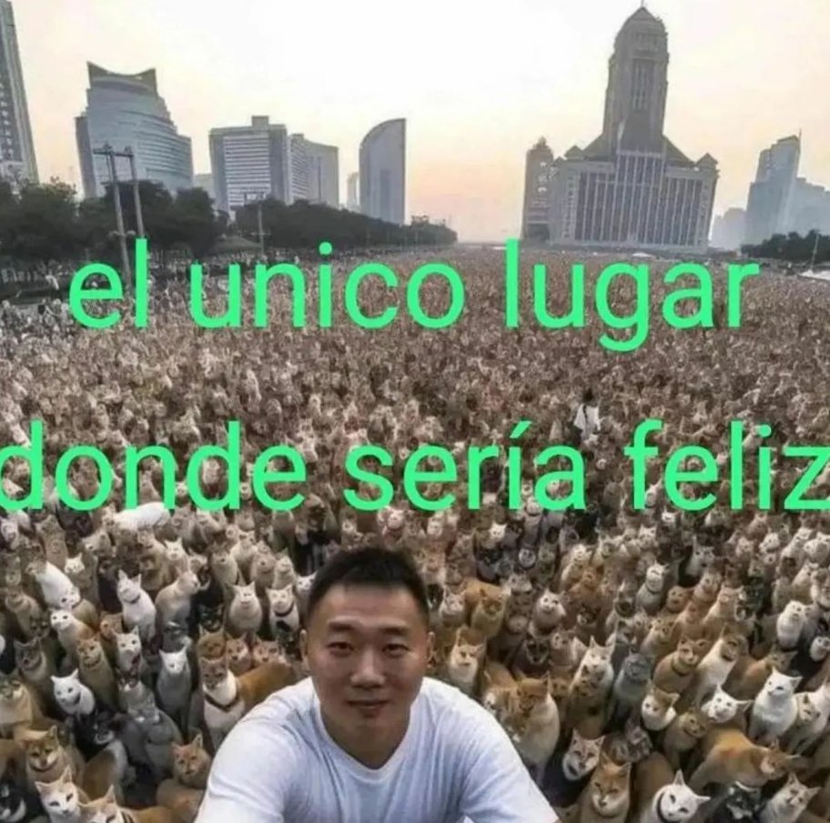 frigosouul's tweet photo. https://t.co/QvZ8yDKBEp