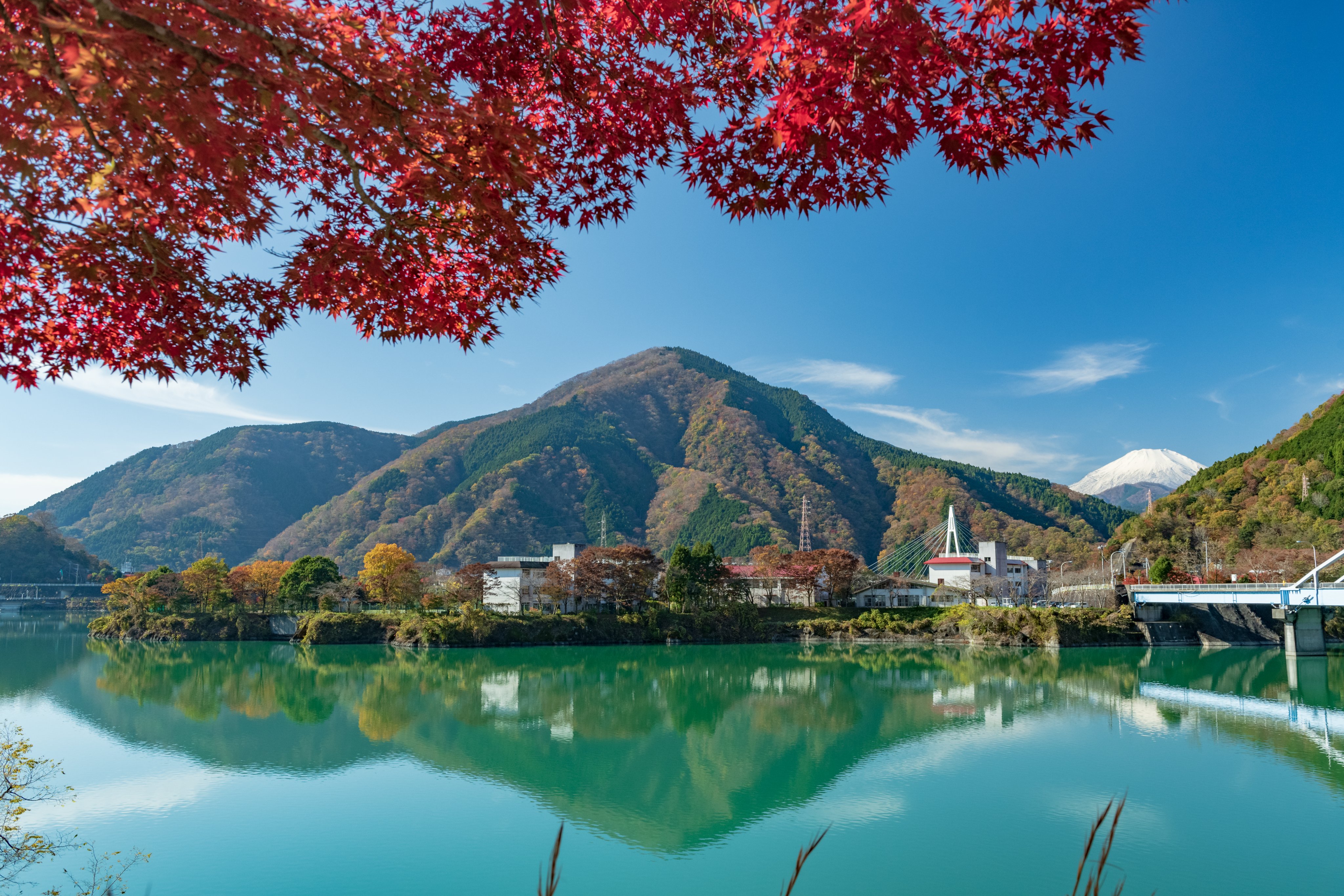 South of Tokyo,神奈川 on X: 