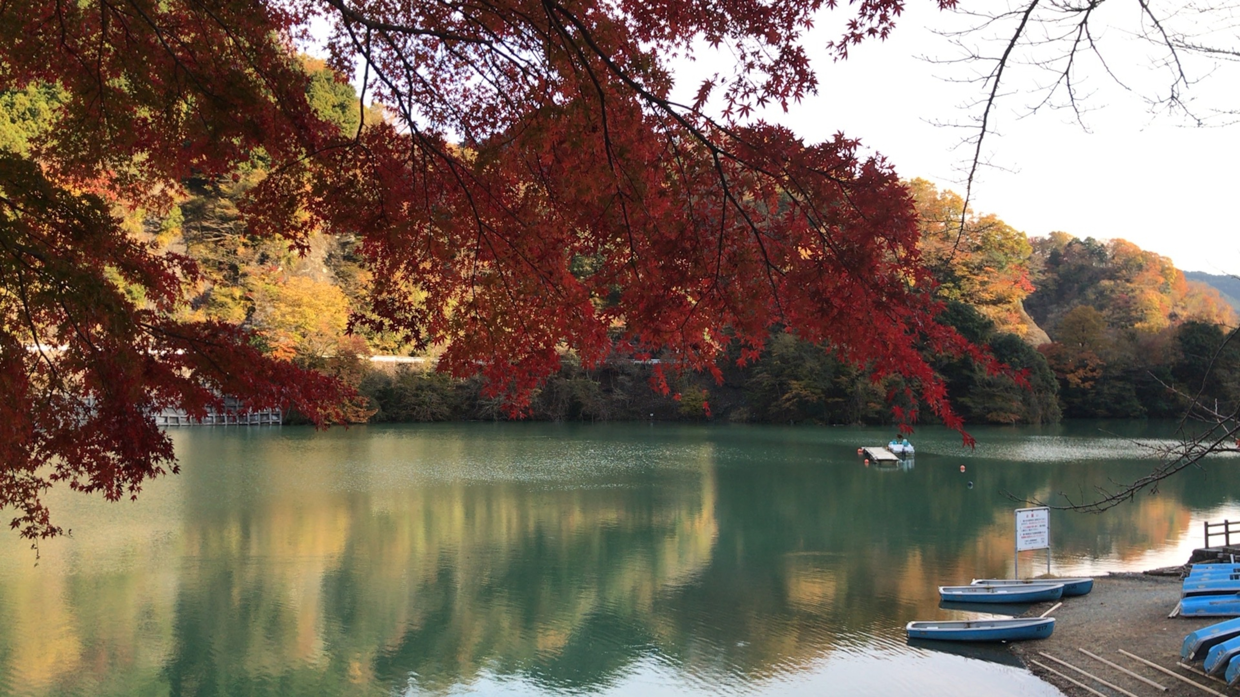 South of Tokyo,神奈川 on X: 
