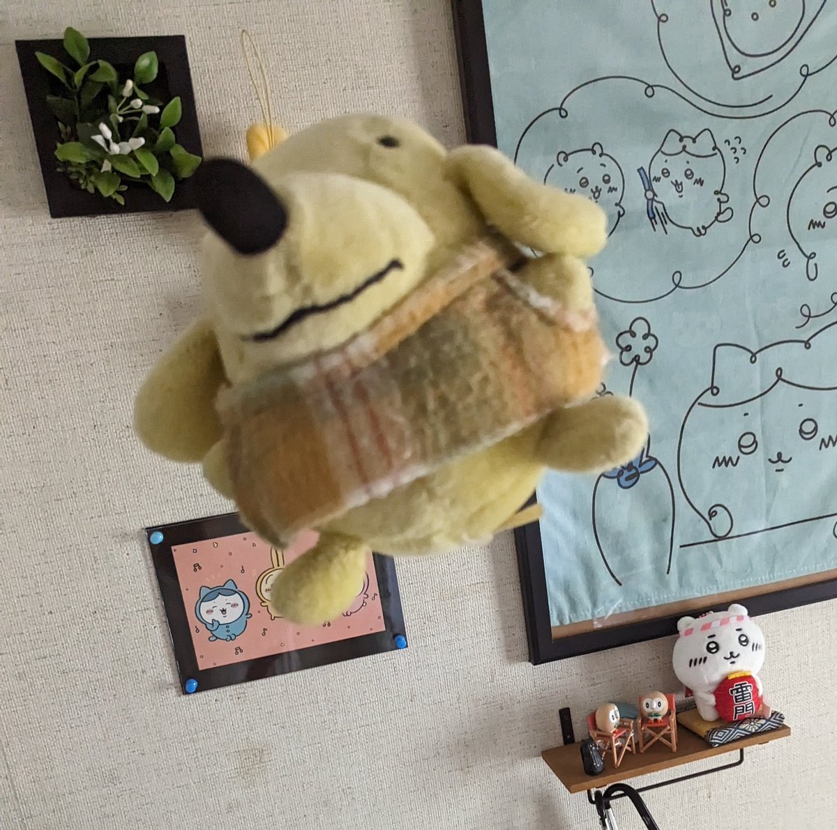 ぽち (@pochi_084_084) / Posts / X