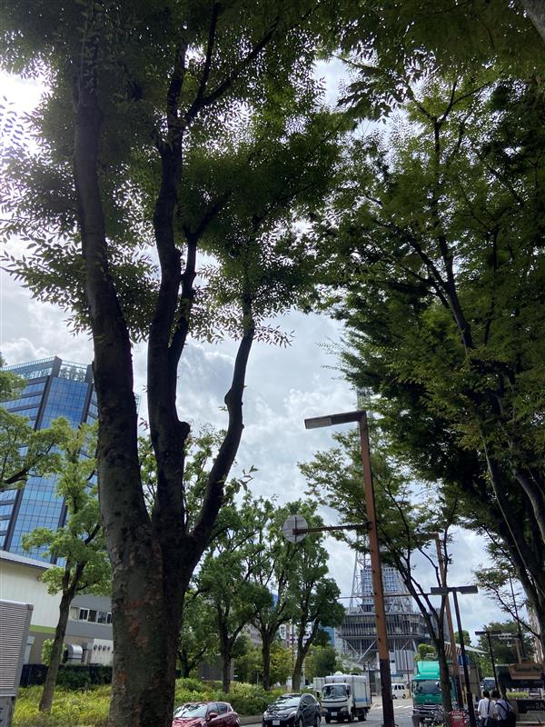 PcVueJapanaichi's tweet photo. 今日の #名古屋 の空は、#晴れ です☀
いつもと違う角度で撮影してみました(>_<)
本日も一日頑張っていきましょう☺
#PcVue
#エンジニア
#IT
#RT希望
#企業公式が毎朝地元の天気を言い合う
#企業公式を相互フォロー
#企業公式相互フォロー
#企業公式夏のフォロー祭
#企業公式つぶやき部
#企業公式 https://t.co/V2SZKhcRIq