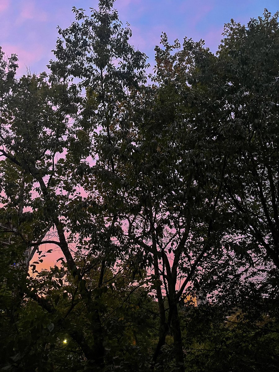 catpas08's tweet photo. Regalo del cielo 🫶🏻 https://t.co/zU792aJTYD