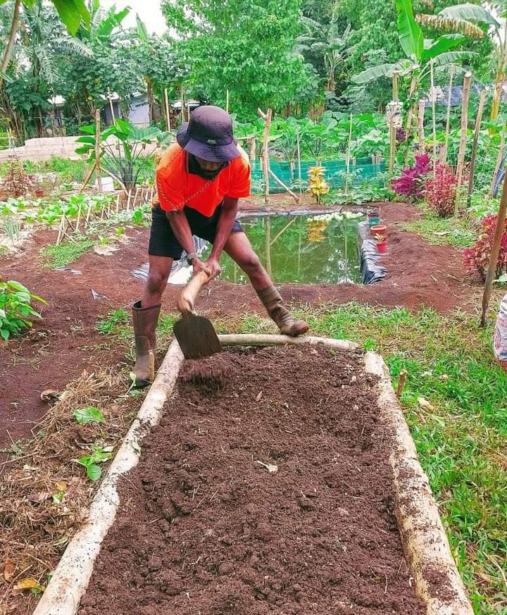 LopesIvama38481's tweet photo. @kimpaim SETE DE SETEMBRO VEM AÍ , É  FERIADO NÉ ?
VOU CUIDAR DA HORTA https://t.co/JMwuYdAFb2