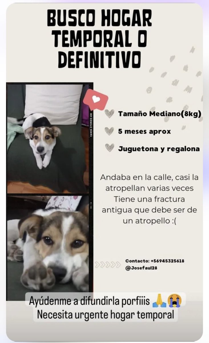 Claudyz83's tweet image. RT porfa!
Necesita un hogar la bebé!