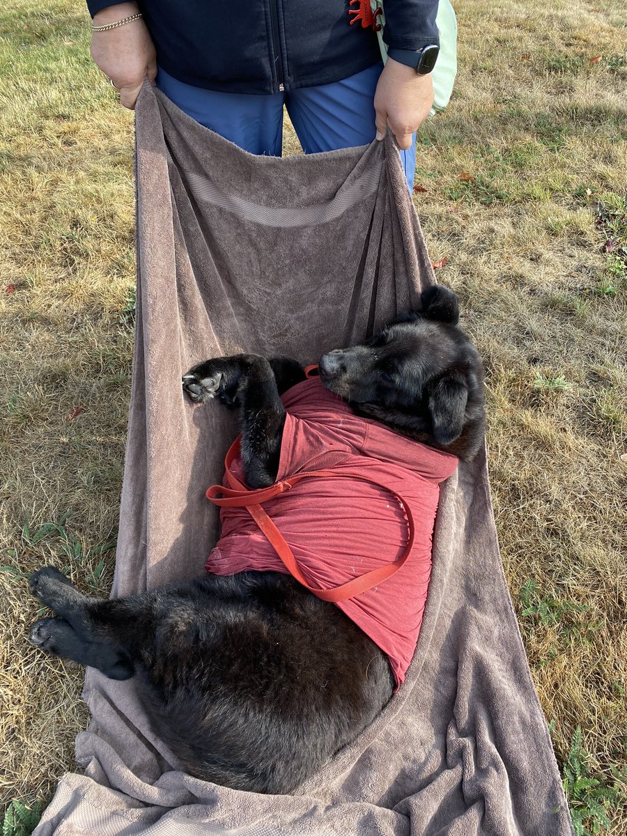 Tammy Dewar Mackay tweet media