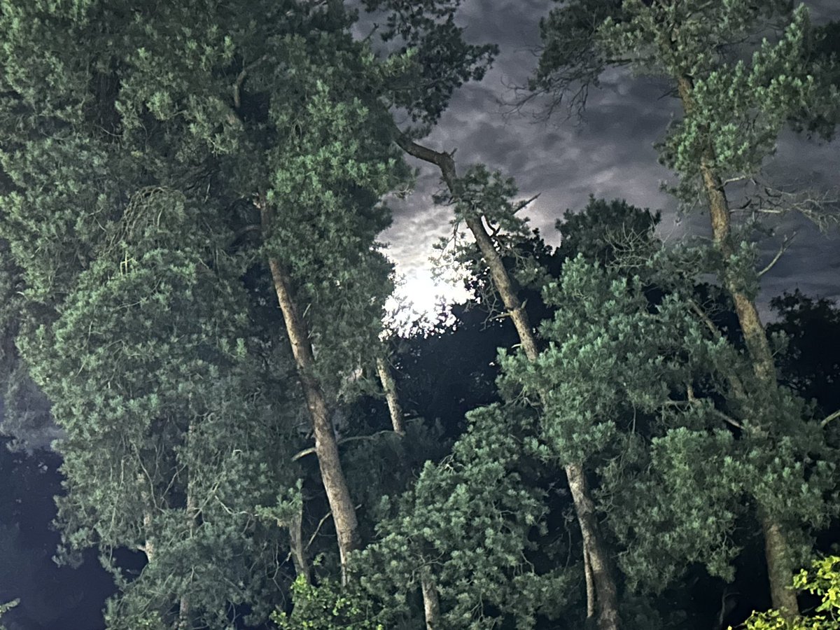 The blue moon.