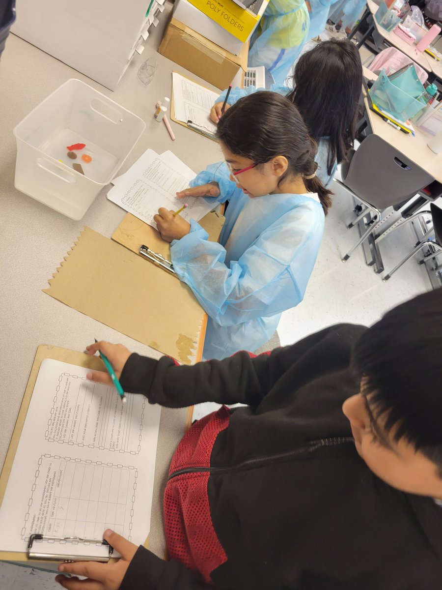 Desiree Turnquist tweet media