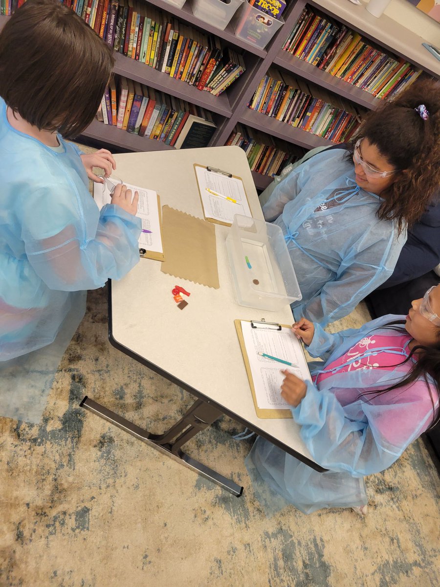 Desiree Turnquist tweet media