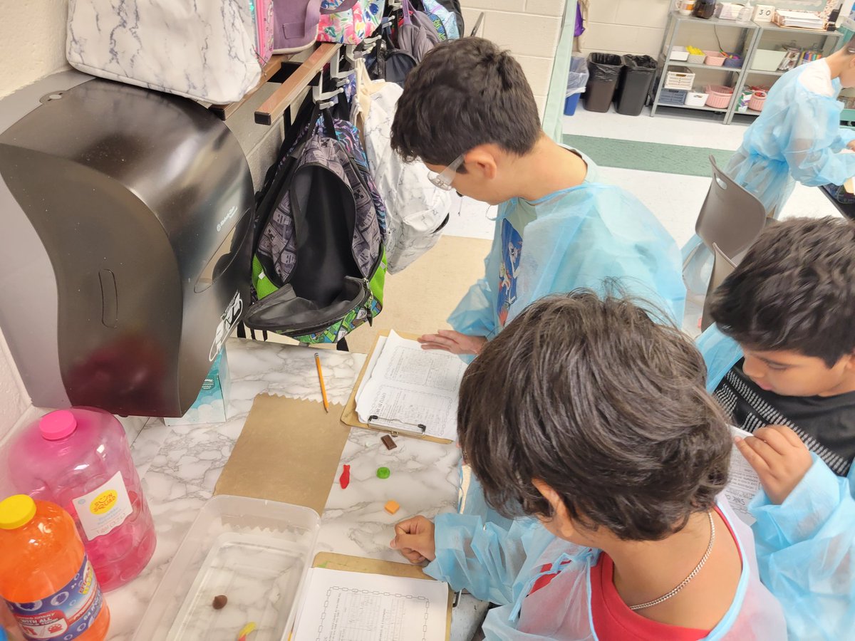 Desiree Turnquist tweet media