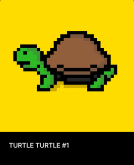 xBearsNFT's tweet photo. @turtle_x_turtle @xrpcafe Geez, they're selling quick... and who got #1 (I'm jealous) https://t.co/VHH1JvYUaN