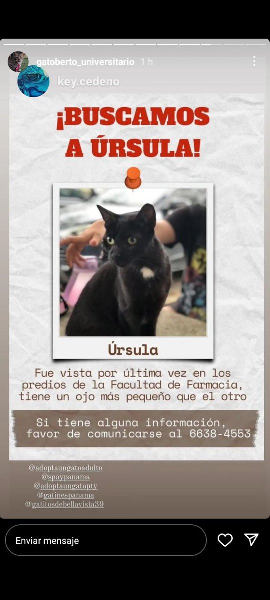 Nacelys González tweet media