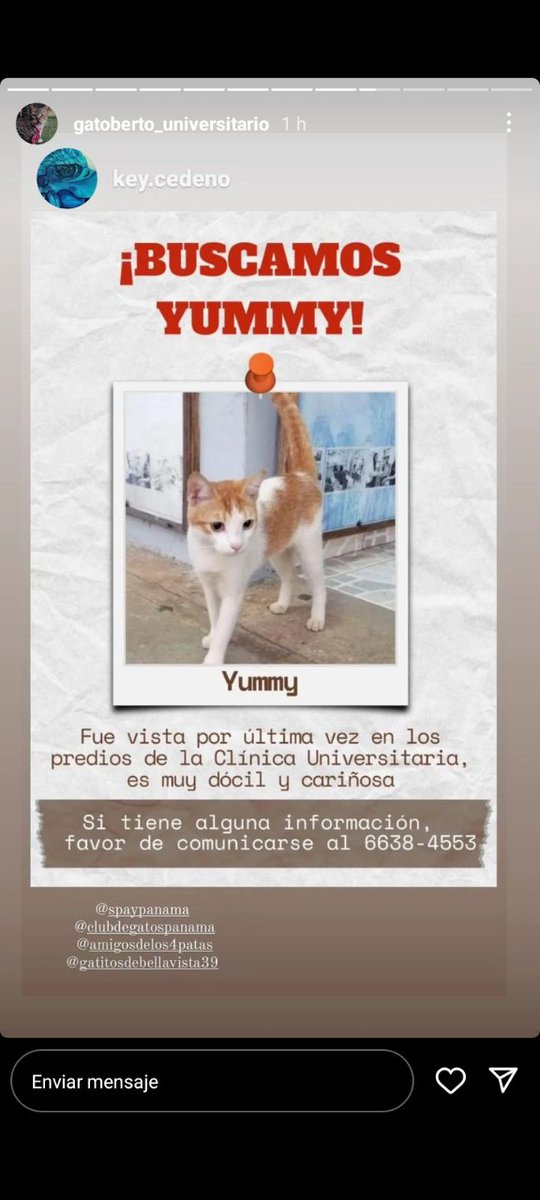 Nacelys González tweet media