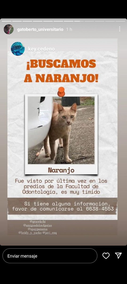 Nacelys González tweet media