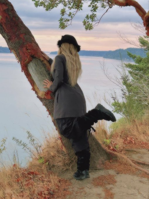 point defiance https://t.co/pbw0w6MtcV