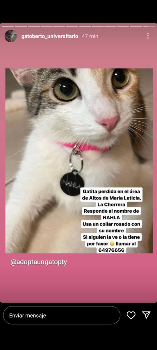 Nacelys González tweet media