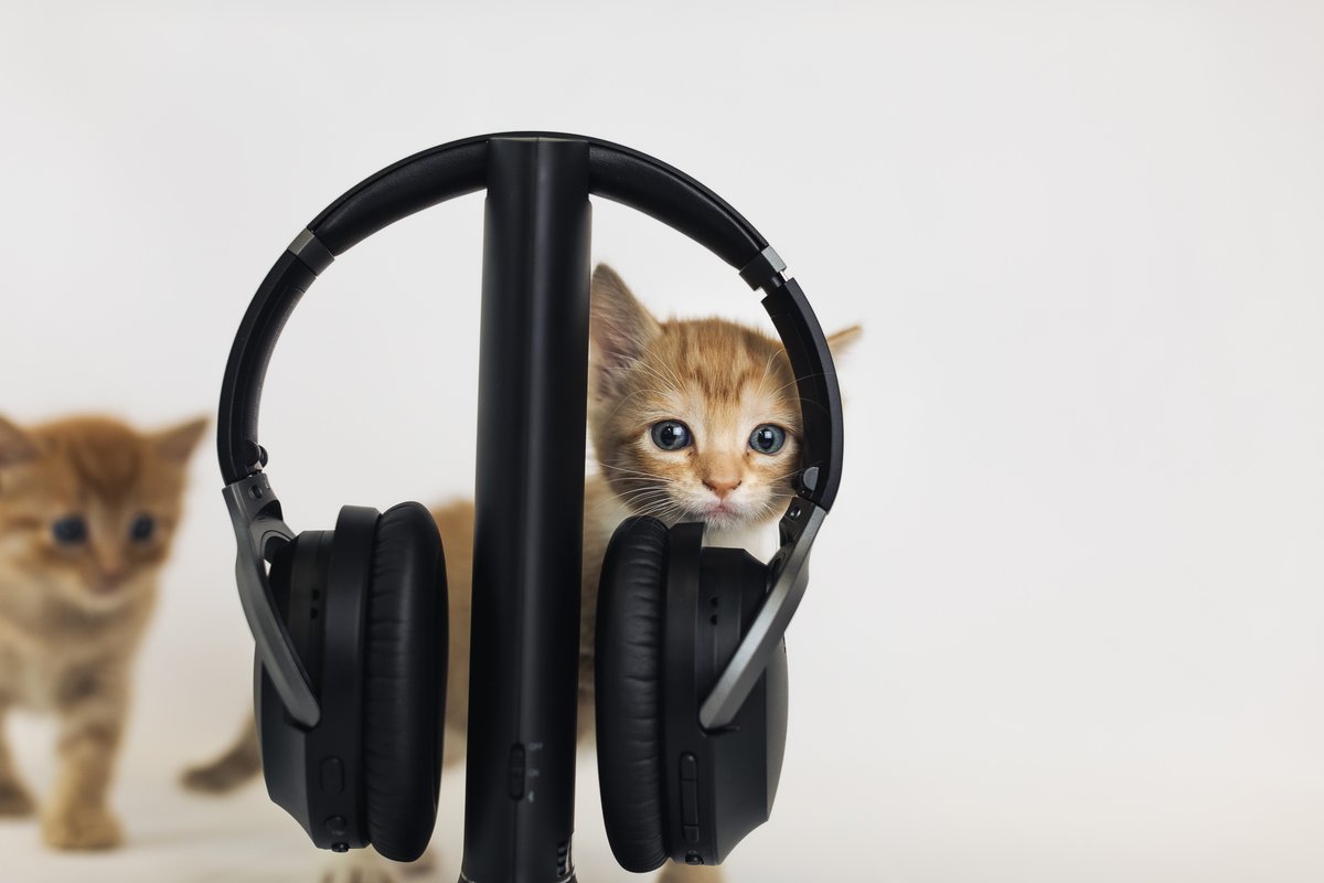 We're running multiple surprise giveaways! On select videos on our YouTube, find us in the comment section and reply to our giveaway comment to receive one of our products for free! The giveaway refreshes every Monday so don't worry if you miss out. 

Good luck!