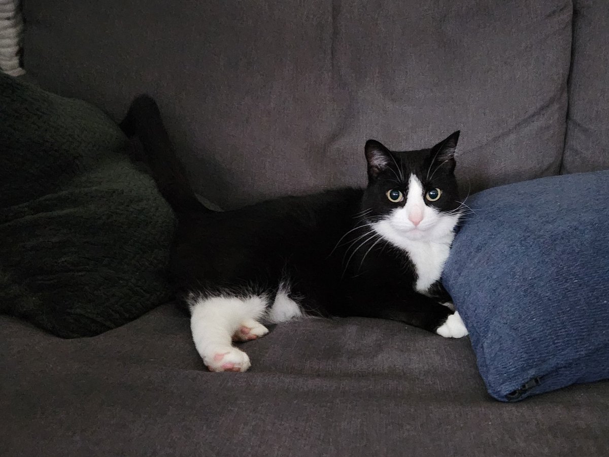 This is my couch now
#MillerMoment