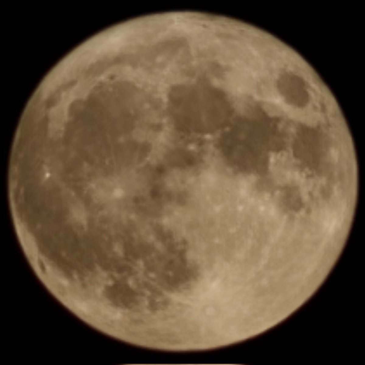 Ryhno.eth tweet media