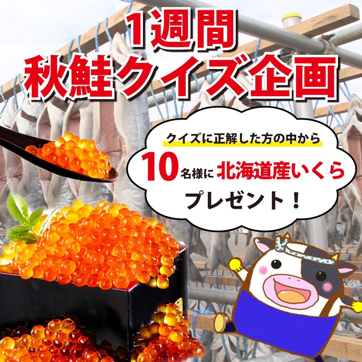 furuBETSUKAI's tweet photo. ／
　北海道産いくらが当たる‼️
　7日間連続クイズ企画✨最終日
＼

クイズを正解した方の中から抽選で
10名様に北海道産いくらをプレゼント🎁
※期間中1回でも正解したらOK🙆‍♀️
　
✅参加方法
①当アカウントをフォロー
②ふるさとチョイスの【秋鮭特集記事】にあるクイズを見て答えてね☺️

特集記事はこちらから⏬
https://t.co/jLMV0eIja2

⚠️コメント欄に〈答え〉を回答された場合、無効となりますのでご了承下さい🙇‍♂️

✅実施期間
8月25日（金）～8月31日（木）

ぜひご参加ください☺️