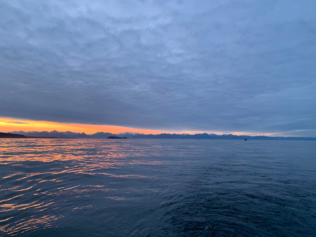 northpacific's tweet photo. https://t.co/uZ7Pp362zj