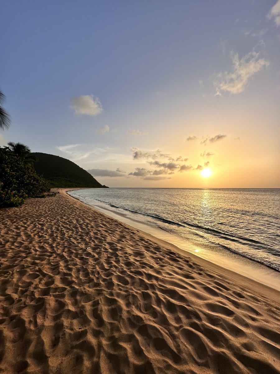 thomasfrancius's tweet photo. 📍✨ Plage de Grande Anse, Guadeloupe https://t.co/zNeQ2urslW