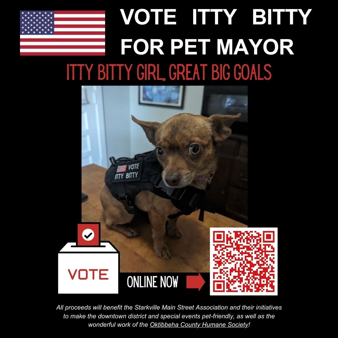 chaddacus's tweet image. Ok @hailstate family, here&apos;s your chance to get behind the best candidate for @mscollegetown Pet Mayor. Vote early and often!  Vote Itty Bitty!!!
starkville.org/the-partnershi…
#HailState #PetMayor #USA #vote
