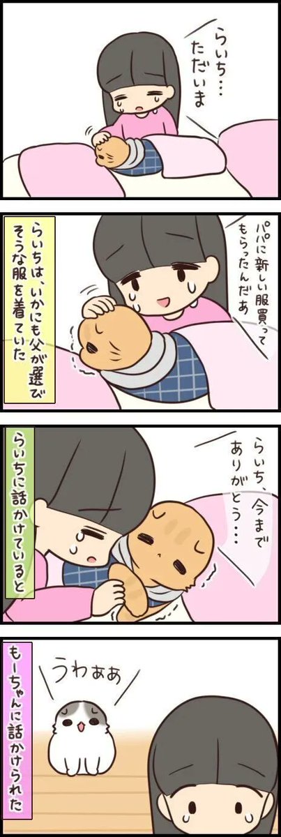 弱った同居猫にみせた、もーちゃんの珍しい行動 「別れの挨拶だったのかも…」【連載】もふもふスコたん#292|ねこのきもちWEB MAGAZINE https://t.co/NBuWZ175A2 