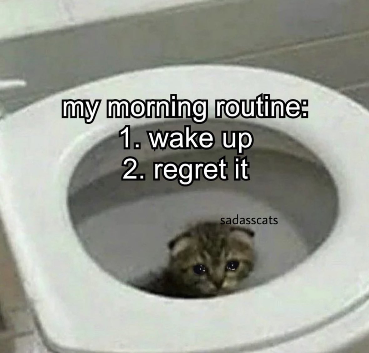 literallymecats's tweet photo. https://t.co/pM7PPUOdbB