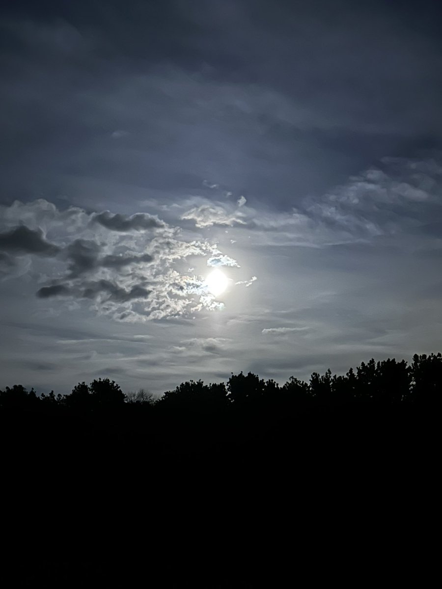 Nancyven1's tweet photo. #SuperBlueMoon https://t.co/pT7QPcUp7o