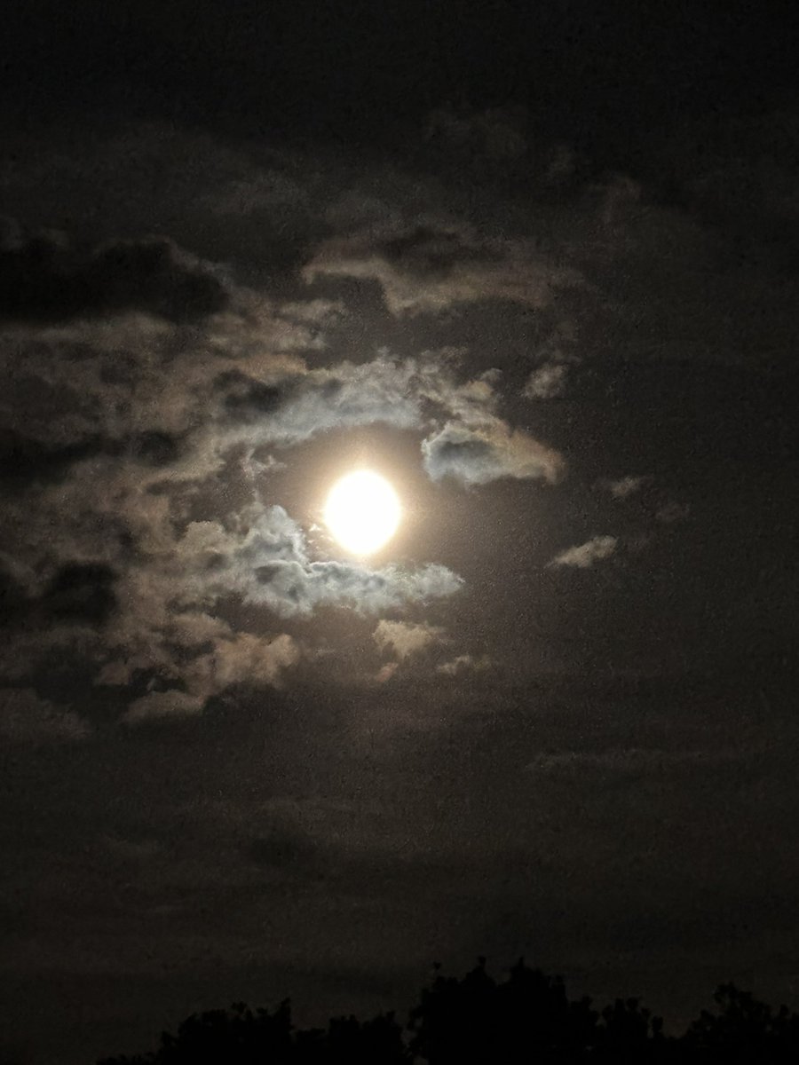Nancyven1's tweet photo. #SuperBlueMoon https://t.co/pT7QPcUp7o
