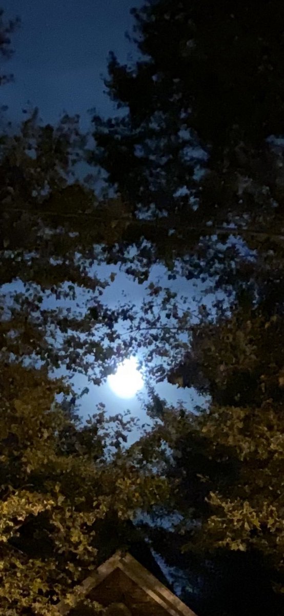 MrDWindsorAndMe's tweet photo. Everyone look up at the Moon the Gypsy Moon also known as the Super Moon and Make a Wish 🌕#gypsymoon #SuperBlueMoon https://t.co/uoKjNR6cib
