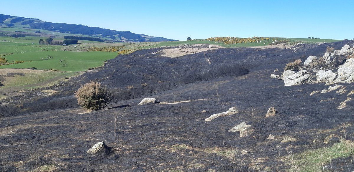 Bill McCall tweet media