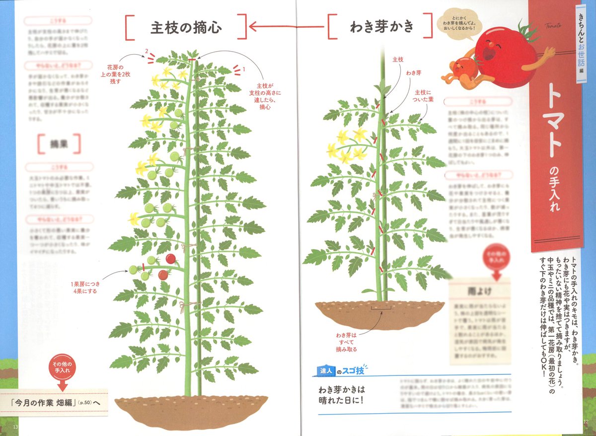 #éèã®æ¥
NHKè¶£å³ã®åèžã»ãããã®æéãè€ç°æºã®æ°éèã¥ãã倧å
šã(NHKåºç)ã§æ
åœããç« æã®ã€ã©ã¹ããšãããããã®æé ã2020幎6ã»7æå·ã§ã®å€§æãã«ãããªã©ã®ã€ã©ã¹ãã
