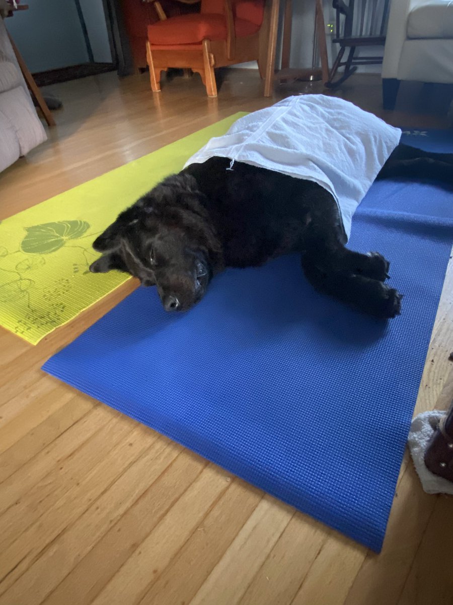 Tammy Dewar Mackay tweet media