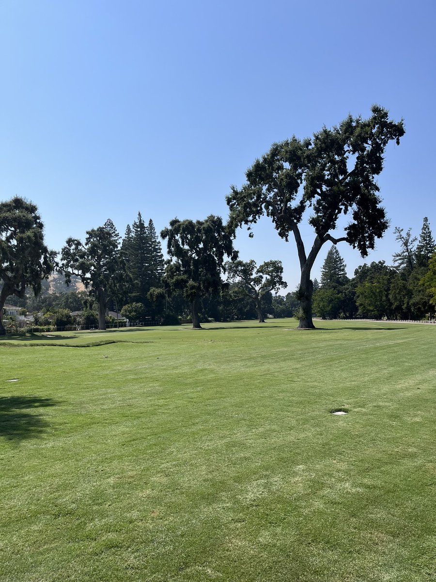 Grant Harrison tweet media