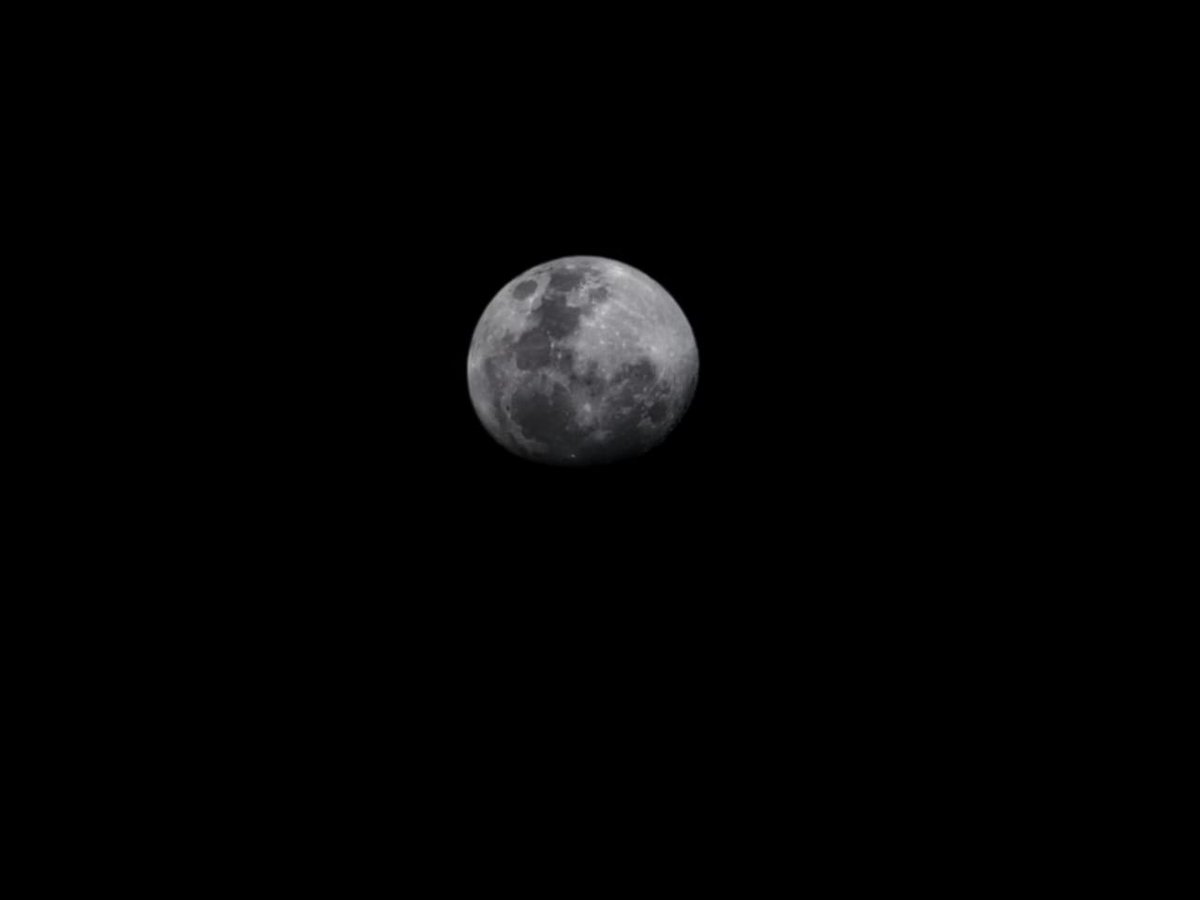 seeknkill666's tweet photo. Lunita 
#BlueMoon https://t.co/kgU6rVRNxy