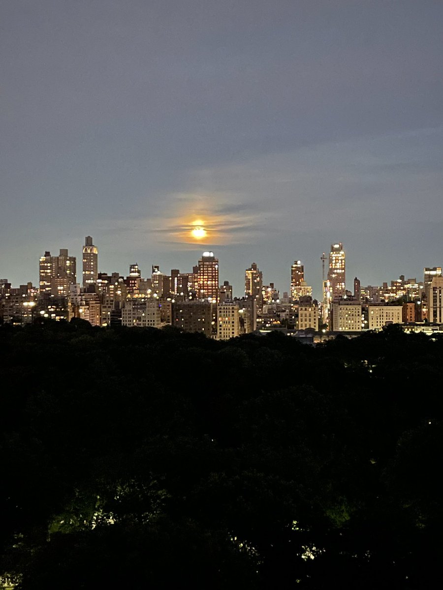 lisasharkey's tweet image. A beautiful day into a gorgeous night here in New York City @CentralParkNYC you are a beauty #onceinabluemoon