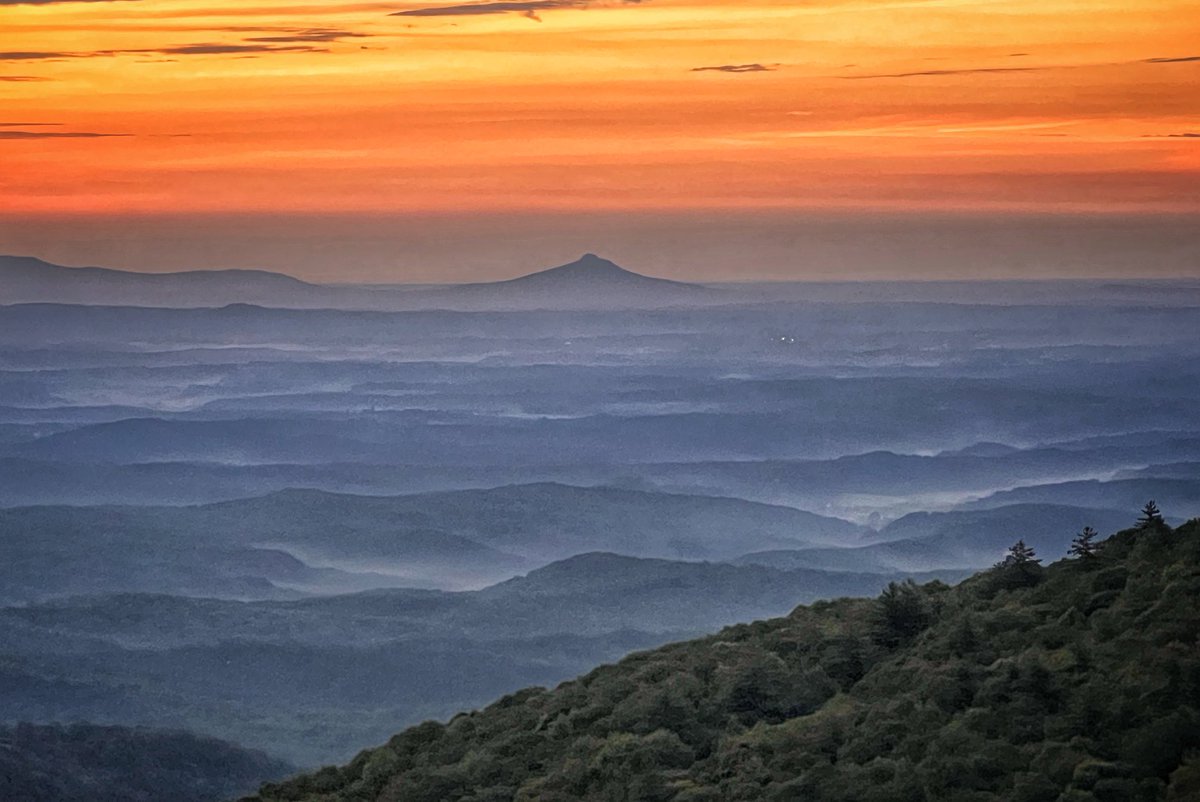 Bill Leslie tweet media