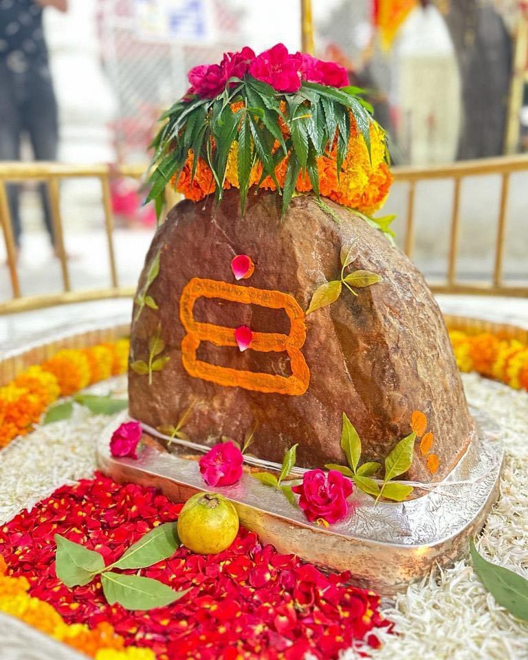 Sharma_Tweetss's tweet image. ॐ तत्पुरुषाय विद्महे महादेवाय धीमहि 
तन्नो रुद्रः प्रचोदयात्! 

#harharmahadevॐ卐