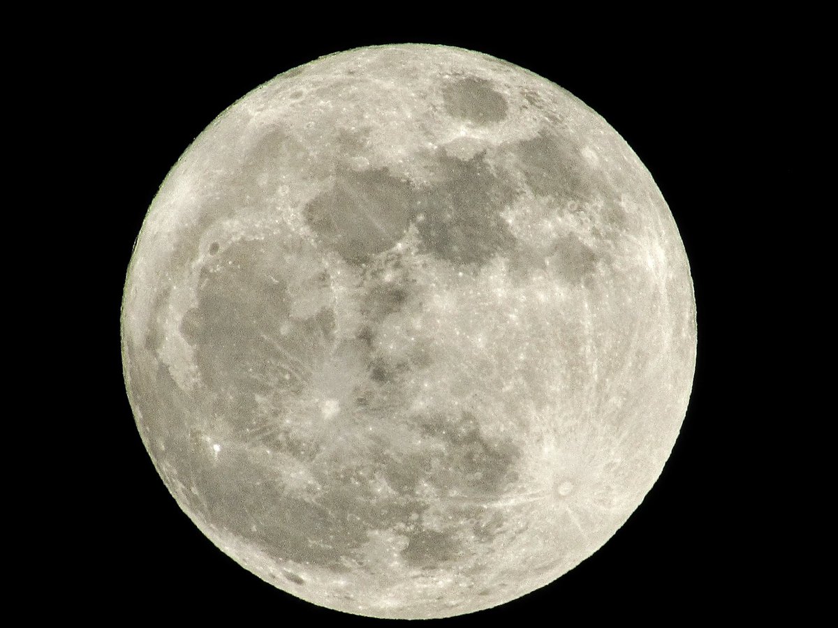 andresjacome04's tweet image. #MoonPower 🦾🦾🦾