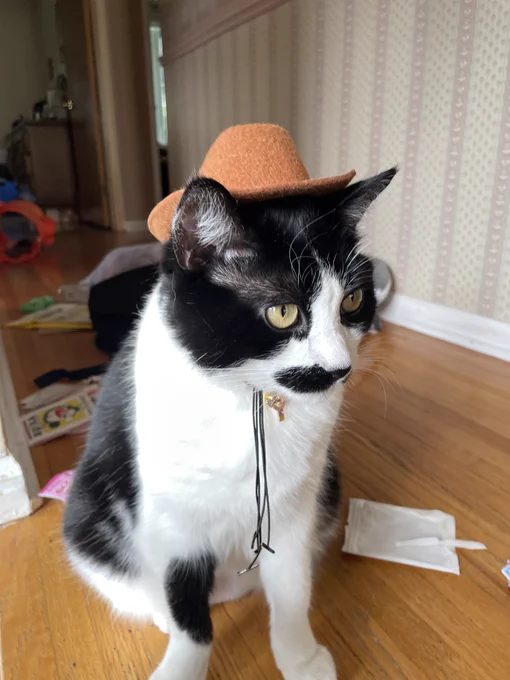 YEEHAW ! 
