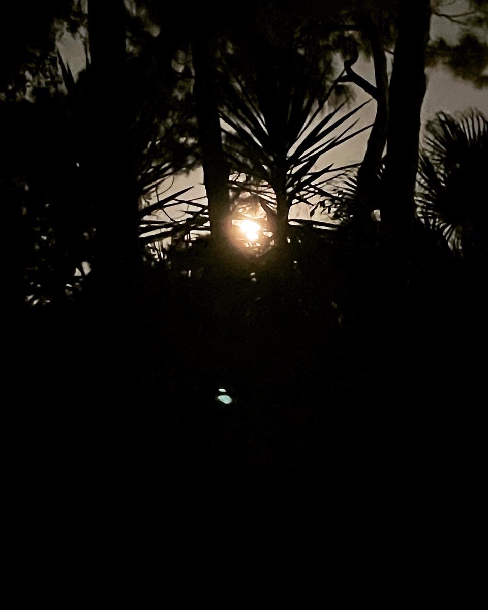 kaya2915's tweet image. She is just STUNNING tonight 🤩 #BlueMoon #OnceInABlueMoon 🌕 #PiscesMoon ♓️ #PiscesBlue 💙 #Supermoon