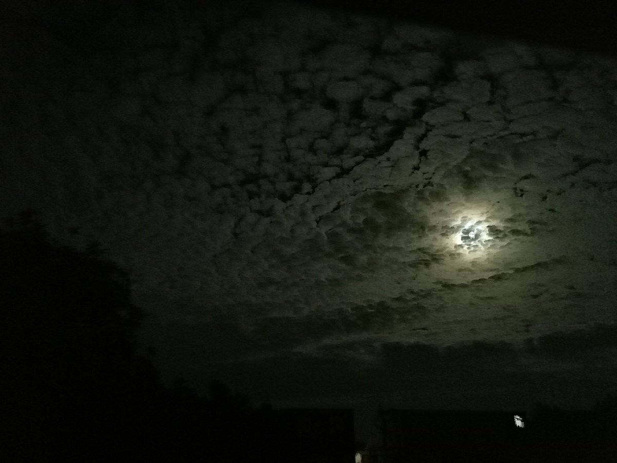 Once in a blue moon, the blue moon.

#bluemoon #nightsky #nightphotography #femalephotographer #moon #sky #clouds #spectacular #rare #sighting #lovenature #lunarexploration #lunar #landscape #landscapephotography #painting #art #photography #sapna_dhandh_sharma