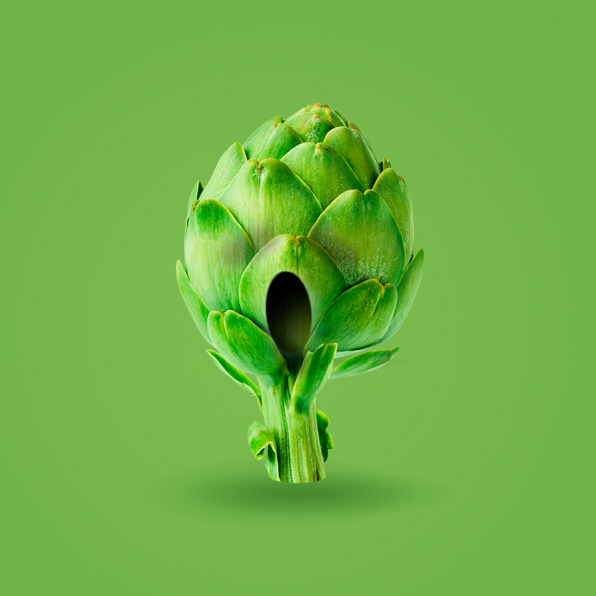 Así se ha quedado Arty cuando se ha enterado que mañana empieza septiembre 😱

#arty #finaldelverano #vacaciones #summer #septiembre #alcachofa #alcachofalovers #AlcachofasCynara #Cynara