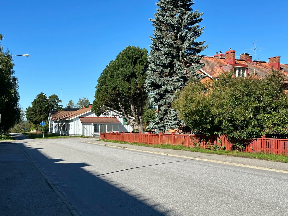 'Tranquil Vibes in Umeå: Birchwood Houses, Lush Green Trees, and Empty Roads 🌳🏡🛤️ Embrace the calm as you stroll through picturesque streets, where nature and solitude converge. #UmeåSereneEscape #BirchwoodRetreat #EmptyRoads 
#swedendiaries #sweden #swedenimages