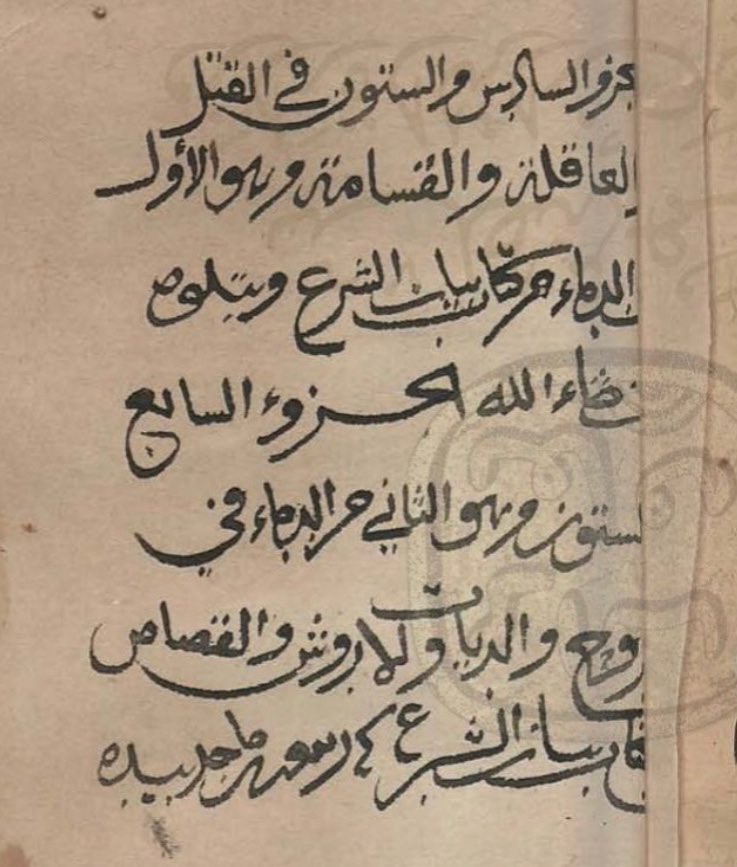 المقداد بن خليل tweet media