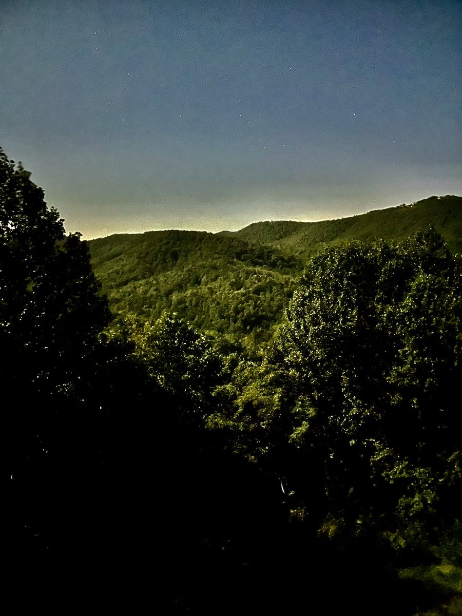 K10R2Ri's tweet photo. These are all completely moonlit shots at 1-3am. https://t.co/pOqfwN8g7o